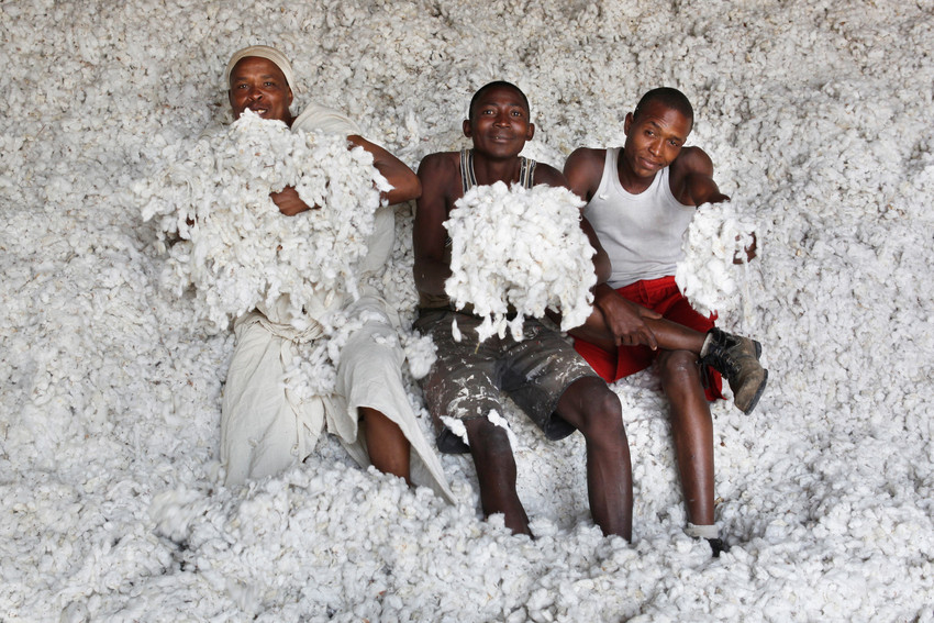 Sustainable Cotton
