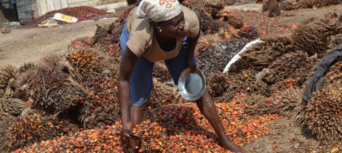 Palmoil West-Africa