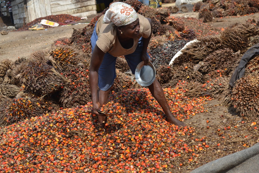 Palmoil West-Africa