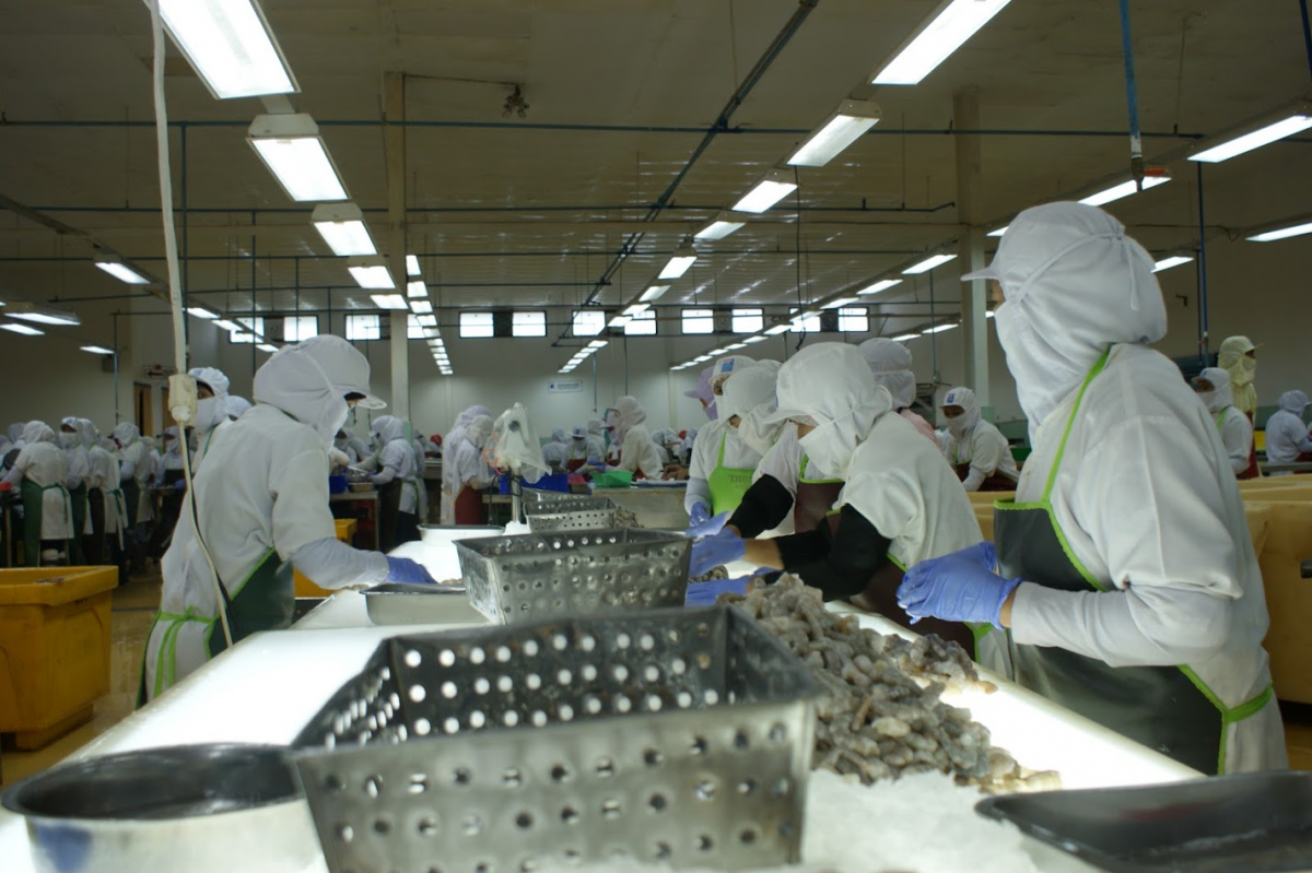 Aquaculture2