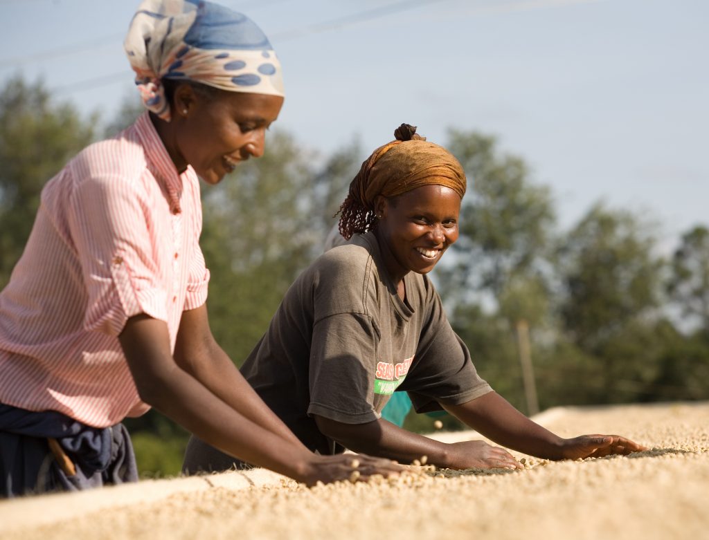 coffee Ethiopie
