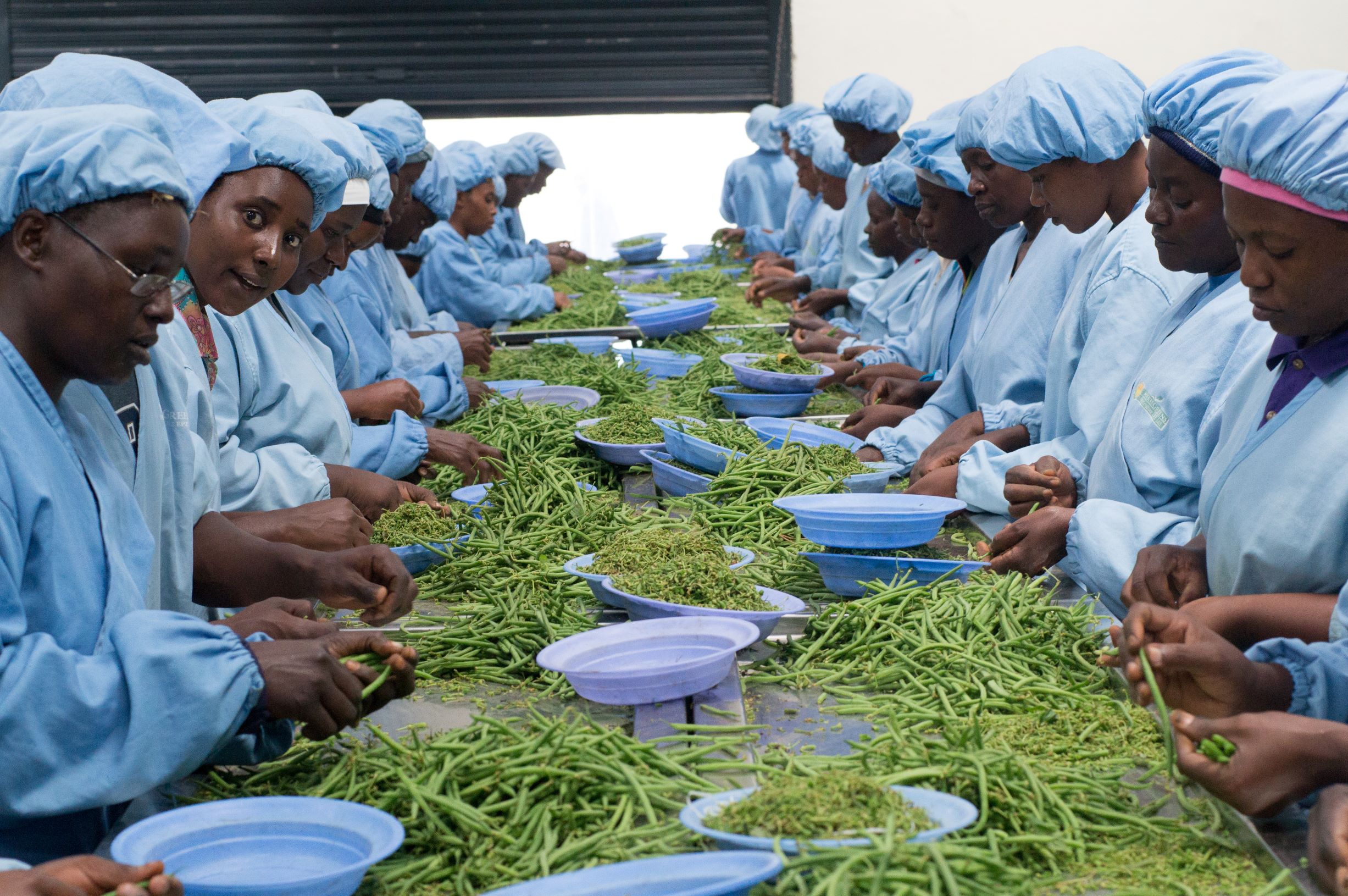 Food for all Kenya_1_Solidaridad
