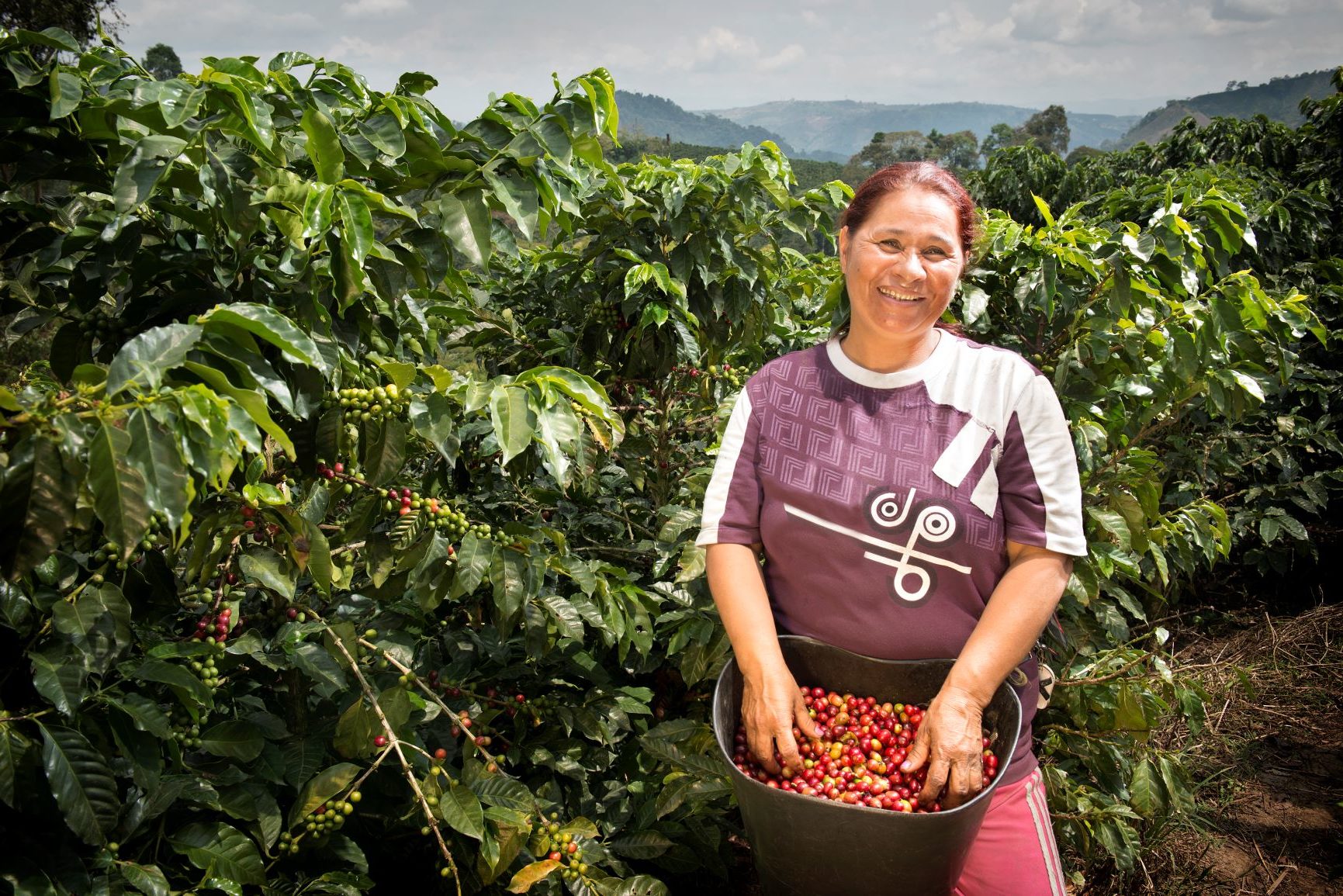 vrouw in koffieplantage in Colombia