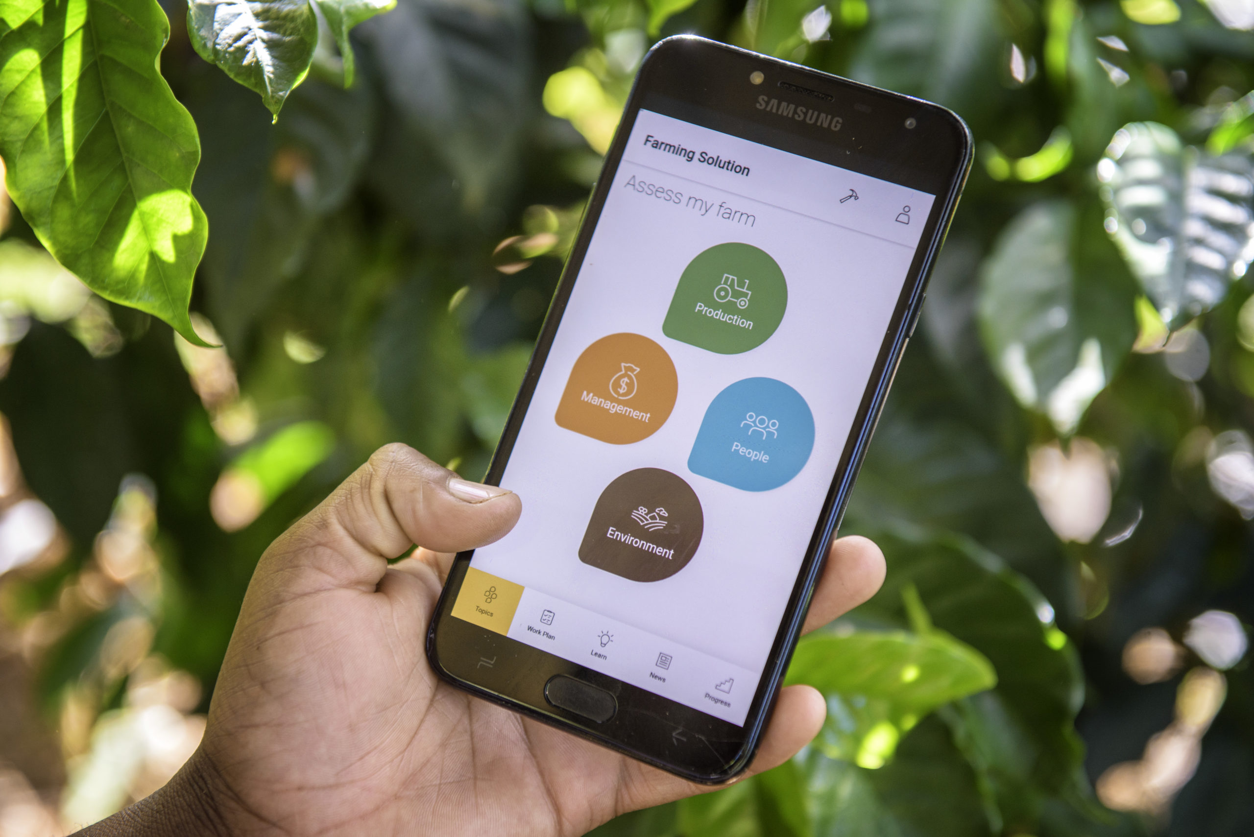 Coffee app on phone