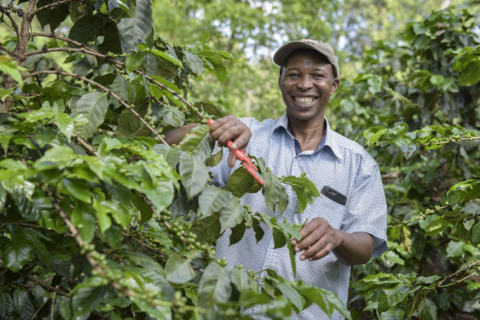 Charles Mutwiri, Kenya, Duurzame koffie © Solidaridad