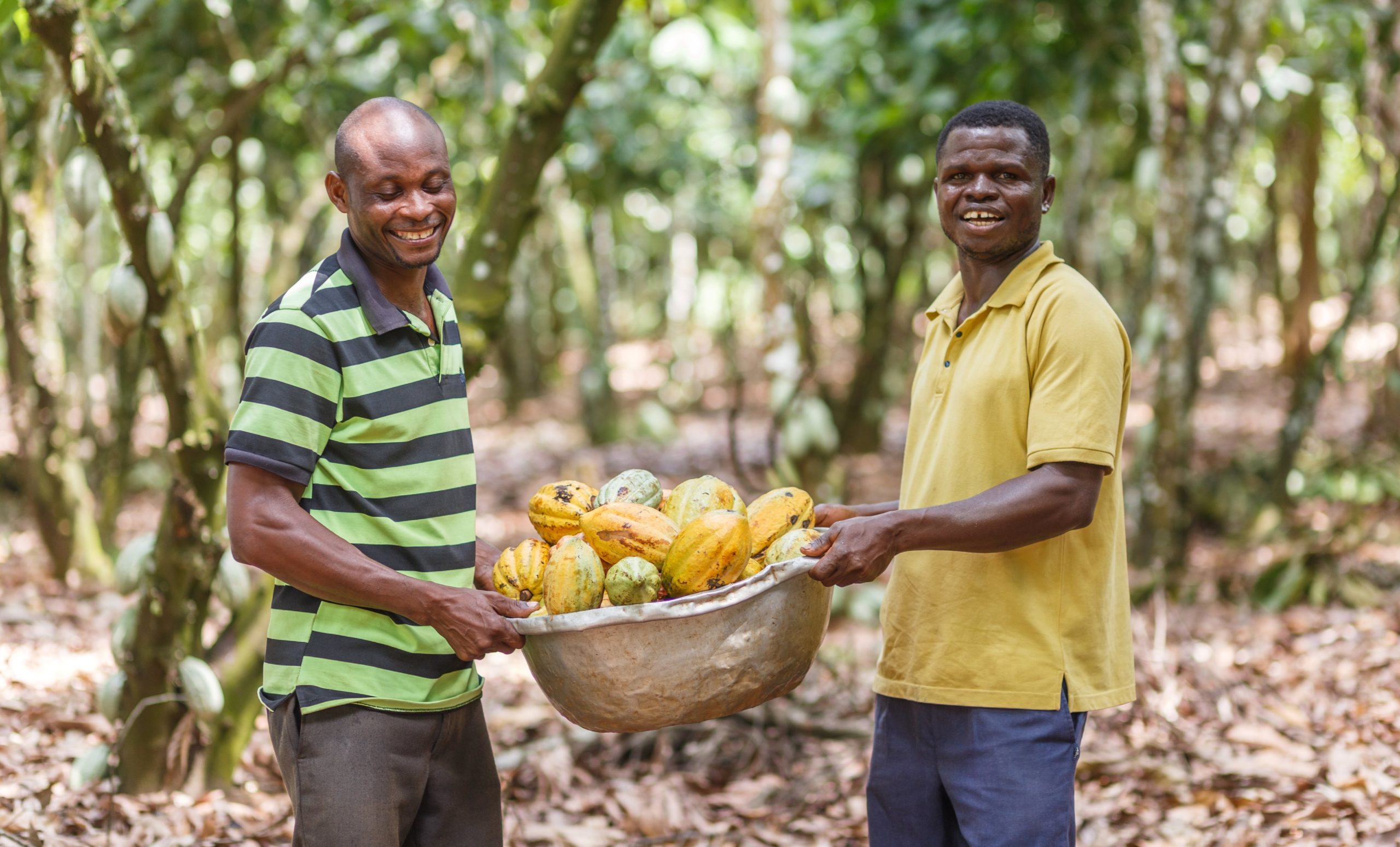 PlusPlus Ghana