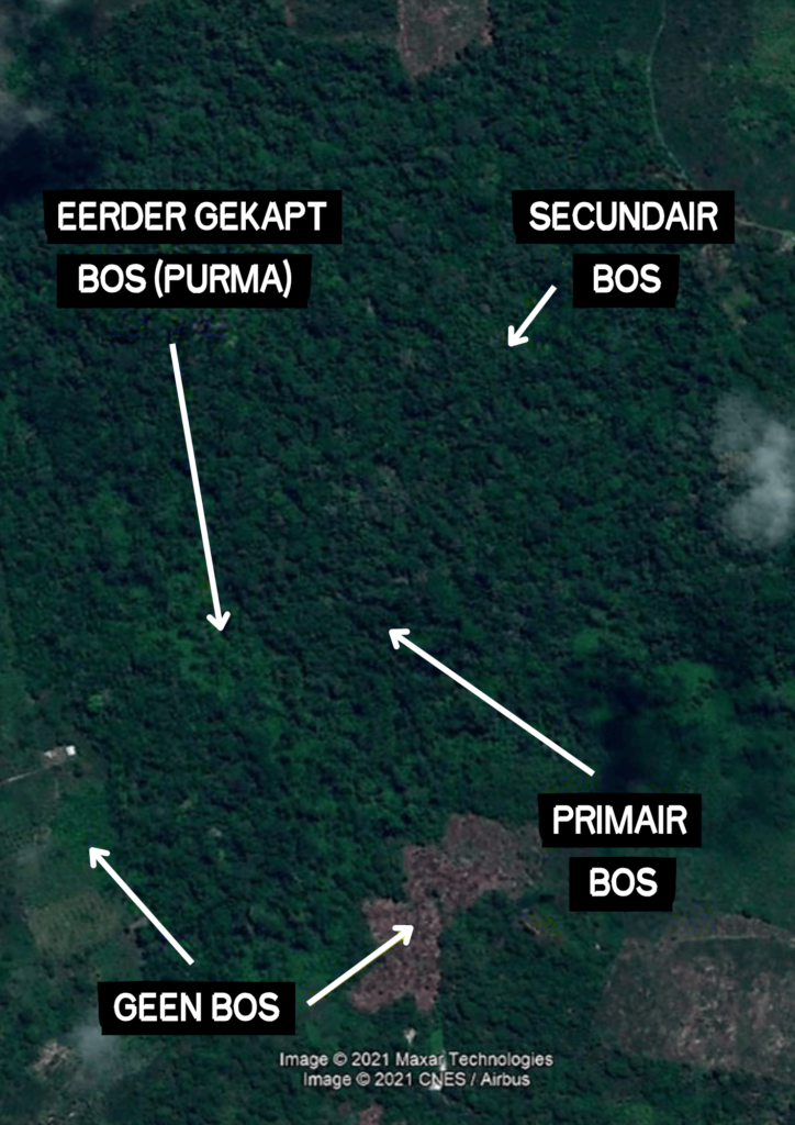 Voorbeeld van de satellietbeelden