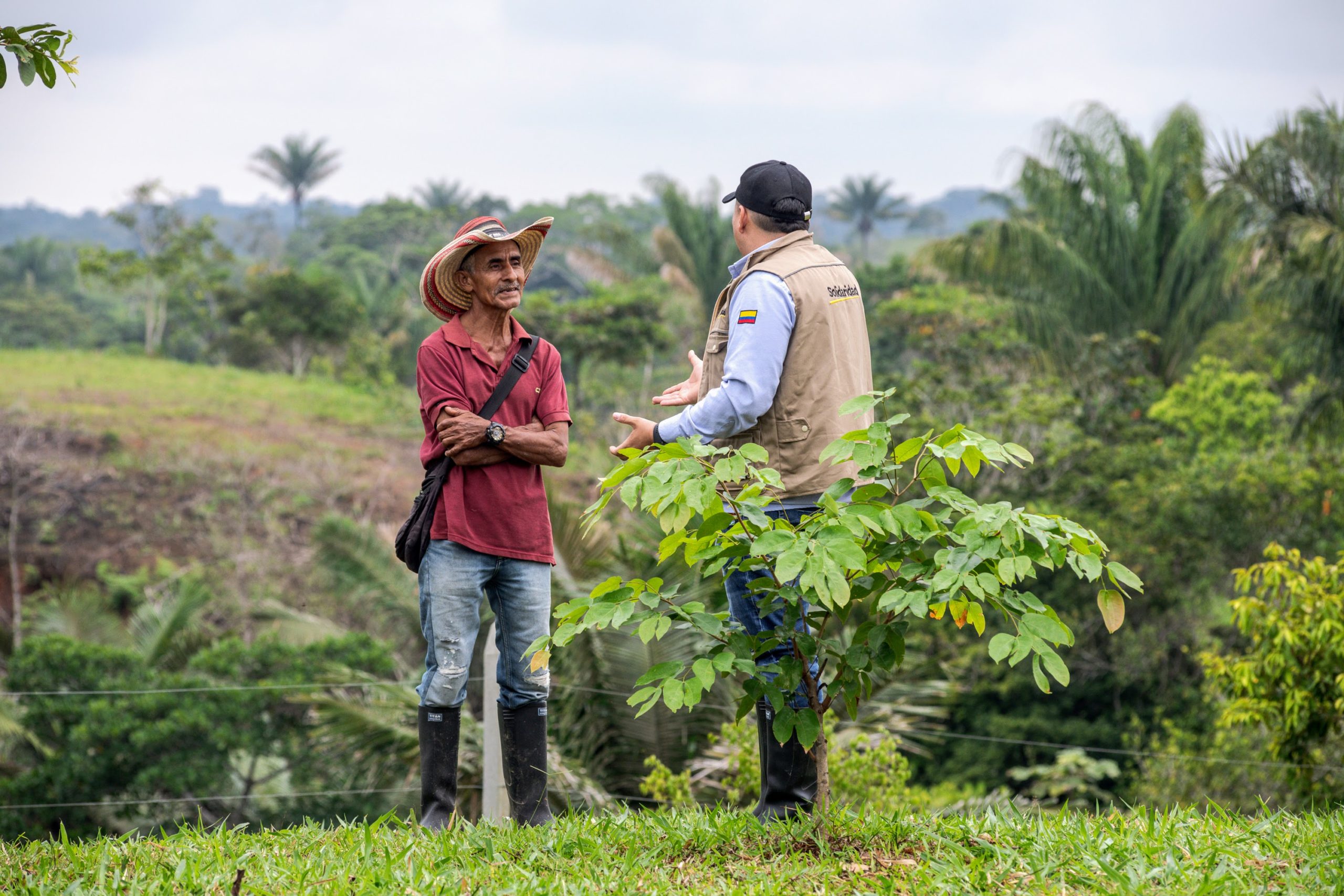 Boer in Colombia