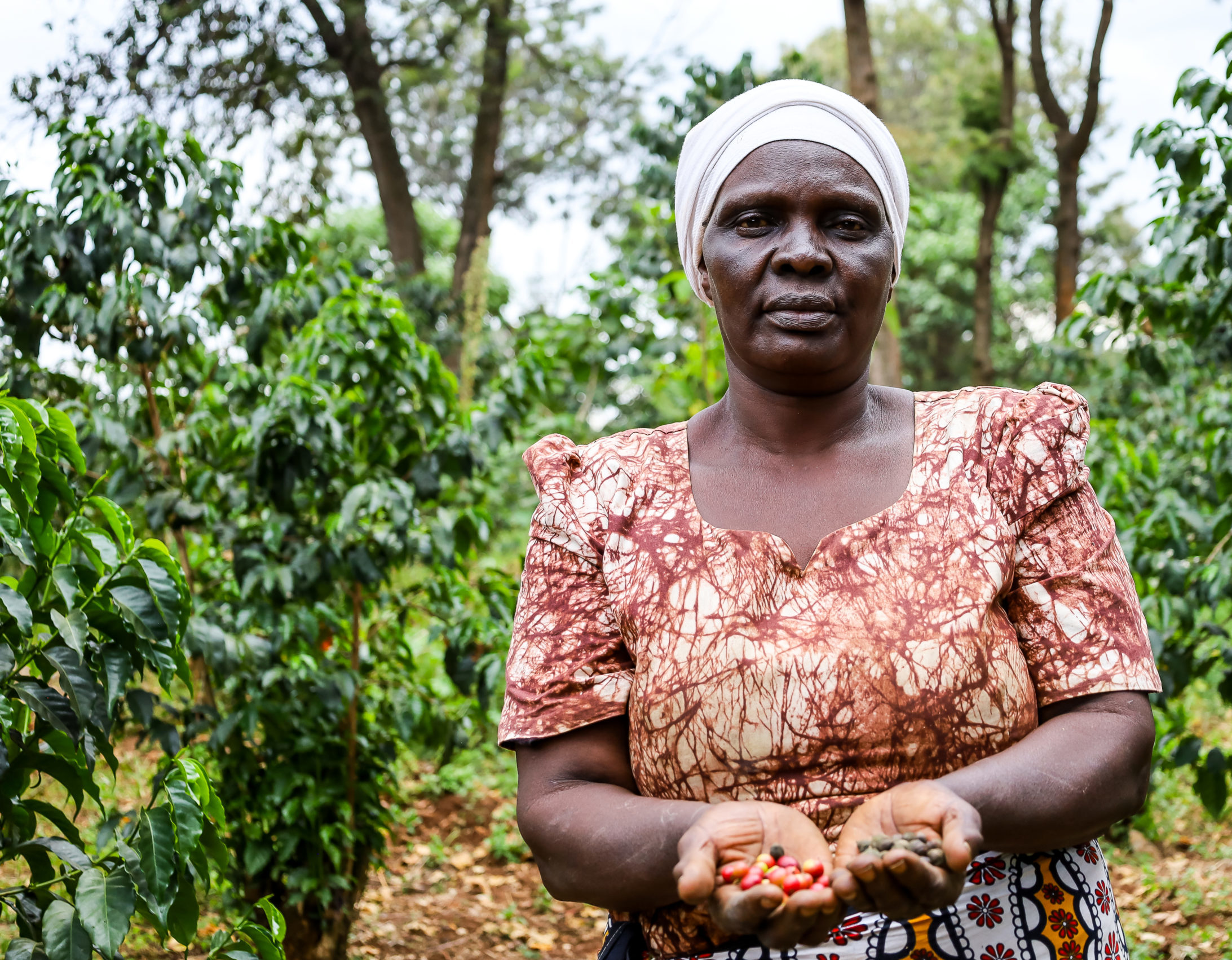 Beatrice Sululu, coffee farmer in Trans Nzoia County, Kenia When I saw maize farming was not giving me the price I wanted, I diversified into coffee farming. Despite the challenges I face as a coffee farmer, I have never lost hope. Price fluctuation is our biggest challenge as small scale farmers but it does not compare to the prices in Maize farming.